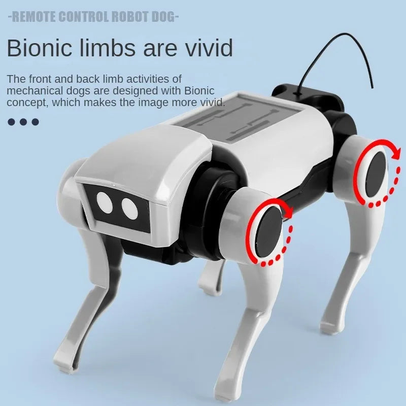 Remote Control Robot Dog & Cat Toy