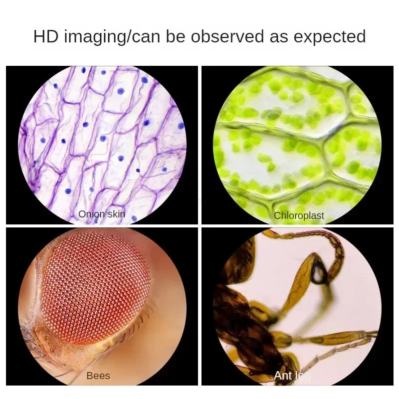 Handheld Microscope Kit